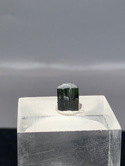 Green Cap Tourmaline Specimen Lot from Pakistan – 41 g