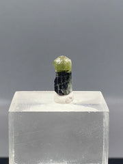 Green Cap Tourmaline Specimen Lot from Pakistan – 41 g
