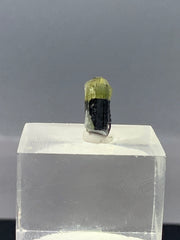 Green Cap Tourmaline Specimen Lot from Pakistan – 41 g