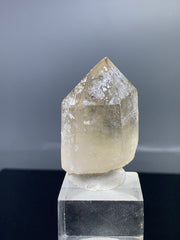 Citrine Quartz Specimen Lot from Pakistan – 913 g | 11 Pieces