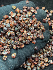 Almandine Garnet Crystals – 263 g Mineral Lot