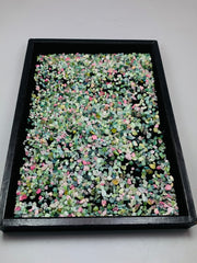 Mixed Color Tourmaline Crystals from Afghanistan – 273 g Mineral Lot