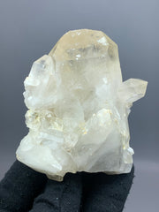 Smoky Quartz Crystals Lot | 997 g | Lot of 6