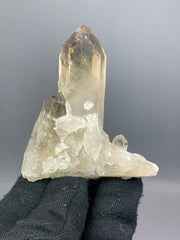 Smoky Quartz Crystals Lot | 997 g | Lot of 6