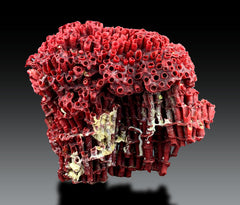 Red Coral Crystal Specimen Lot from Pakistan – 7 Pieces