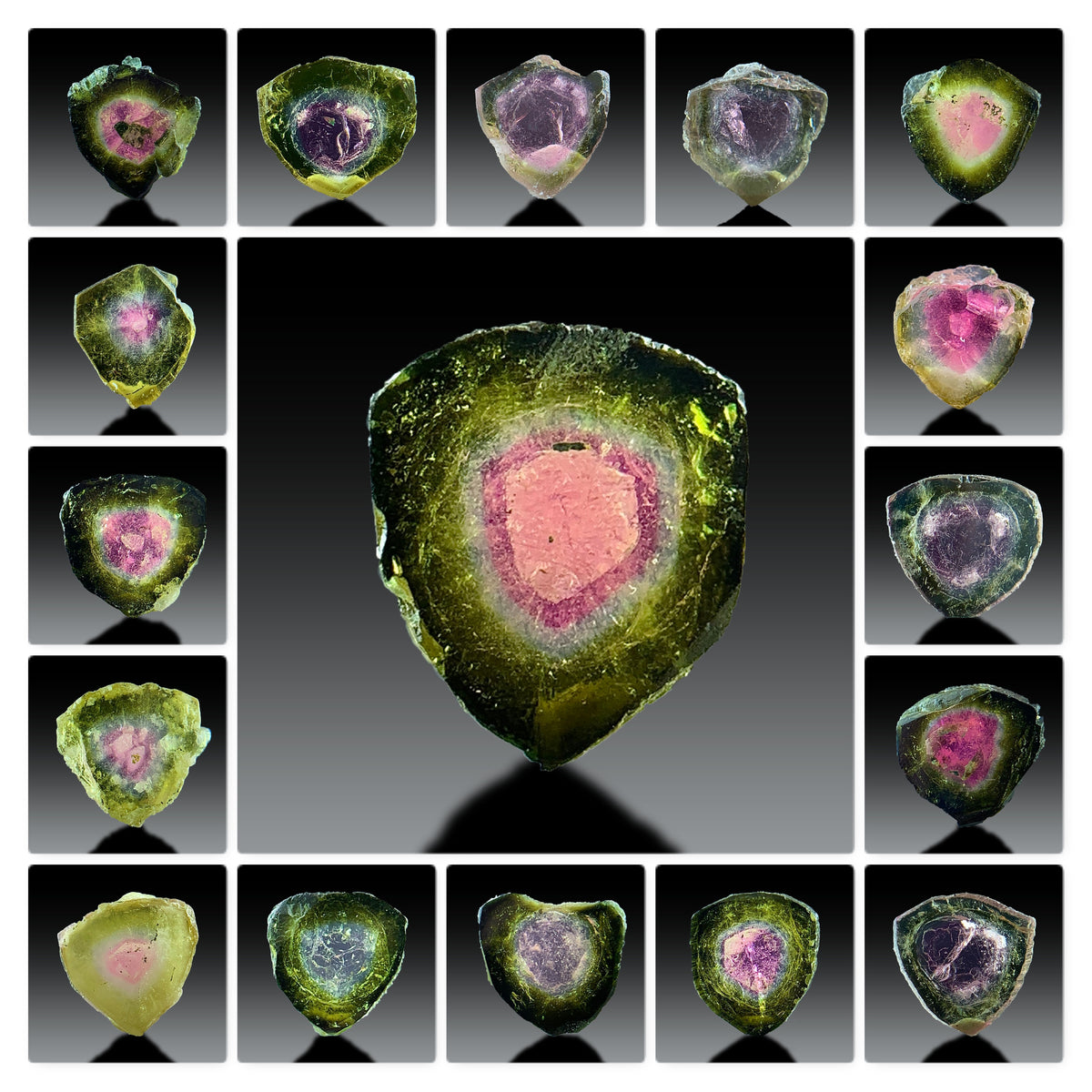 Watermelon Tourmaline Slices Lot from Afghanistan – 18 Pieces