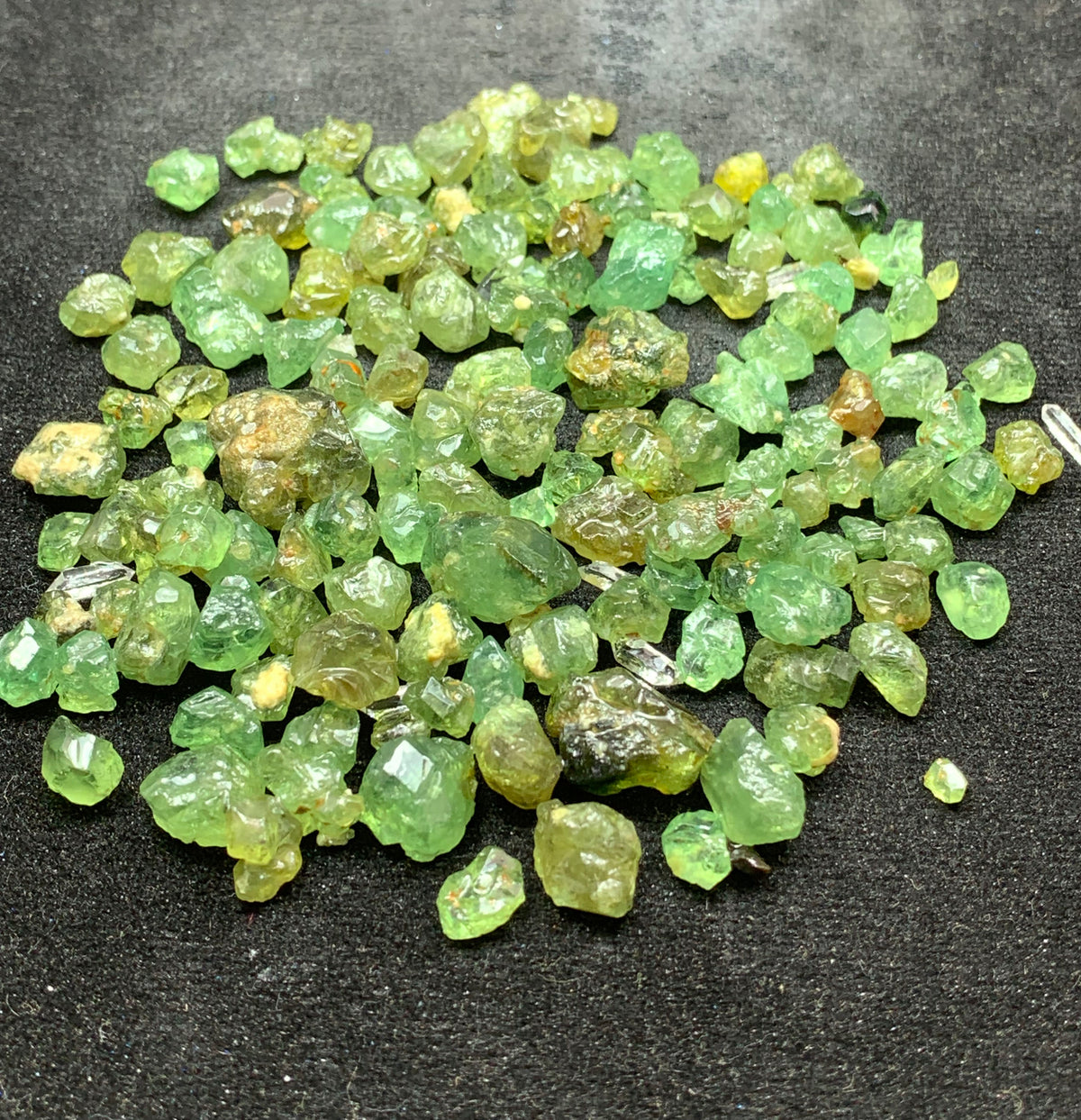 Peridot Rough, Faceting Grade from Mansehra, Pakistan