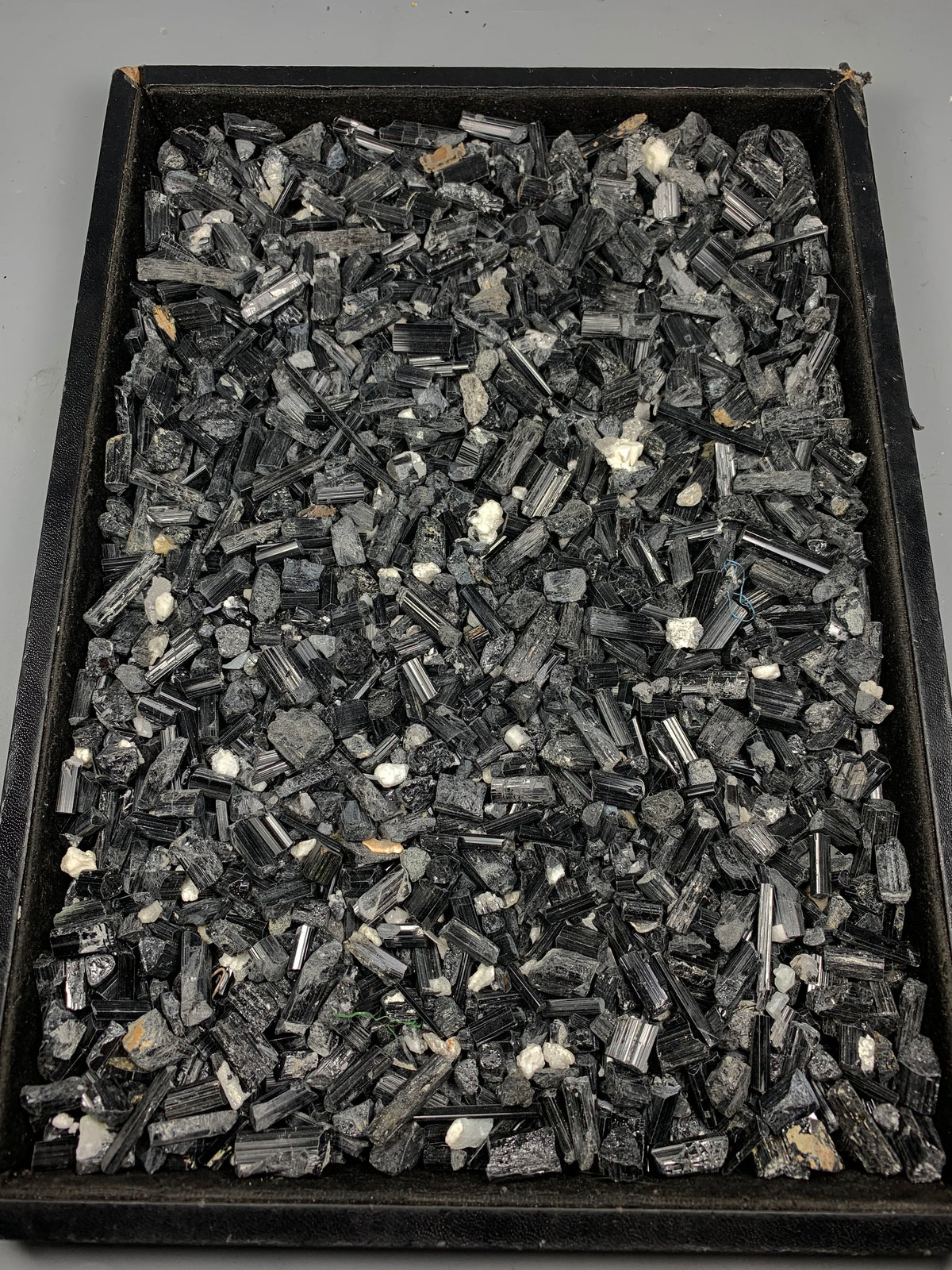 Black Tourmaline Rough Specimen Lot from Skardu, Pakistan – 1,516 g
