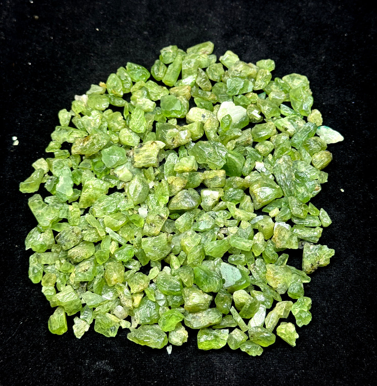 Short Peridot Crystals from Pakistan – 178 g Mineral Lot