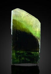 Green Cap Tourmaline Crystals from Pakistan – 10 Piece 20 g Crystal Lot