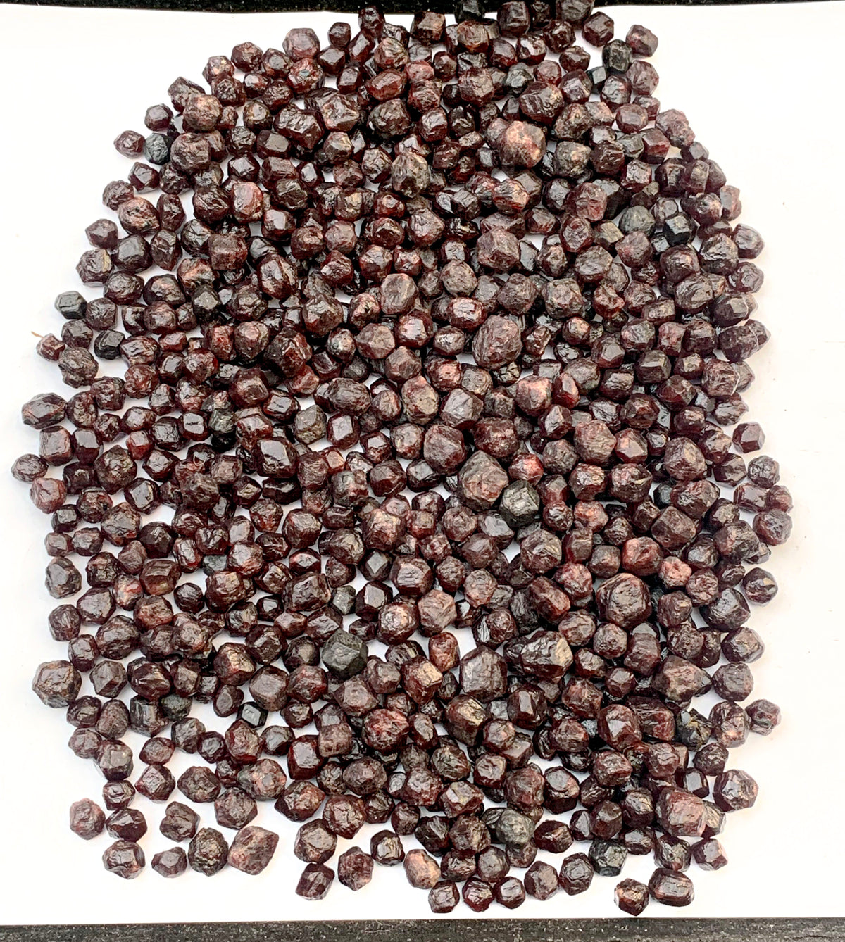 Red Garnet Crystals Rough Lot from Pakistan