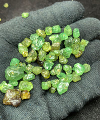 Peridot Rough, Faceting Grade from Mansehra, Pakistan