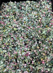 Pink & Green Tourmaline Rough Lot from Afghanistan – 448 g Mineral Lot