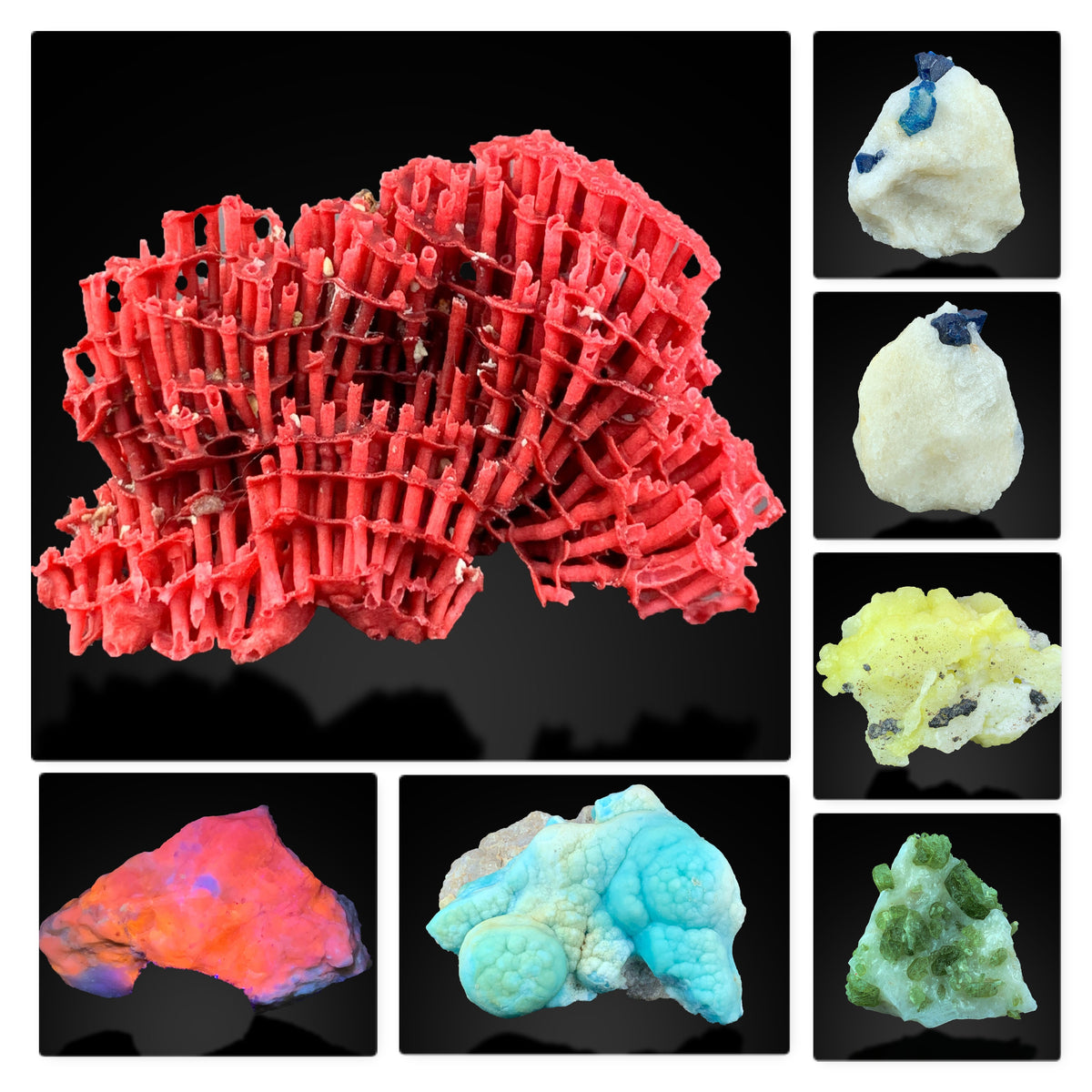 Red Coral Brucite Aragonite Lazurite Hackmanite Diopside Mixed Mineral Lot – 7 Specimens