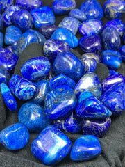 Lapis Lazuli Freeform Polished Stone Lot from Afghanistan