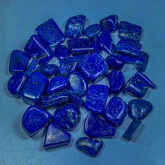 Polished Lapis Lazuli Freeform Lot from Afghanistan