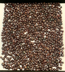 Red Garnet Crystals Rough Lot from Pakistan