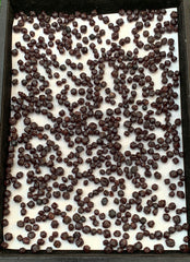 Red Garnet Crystals Rough Lot from Pakistan