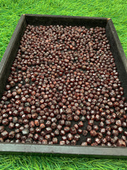 Red Garnet Rough Lot from Pakistan