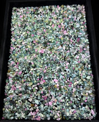 Mixed Color Tourmaline Crystals from Afghanistan – 385 g Mineral Lot
