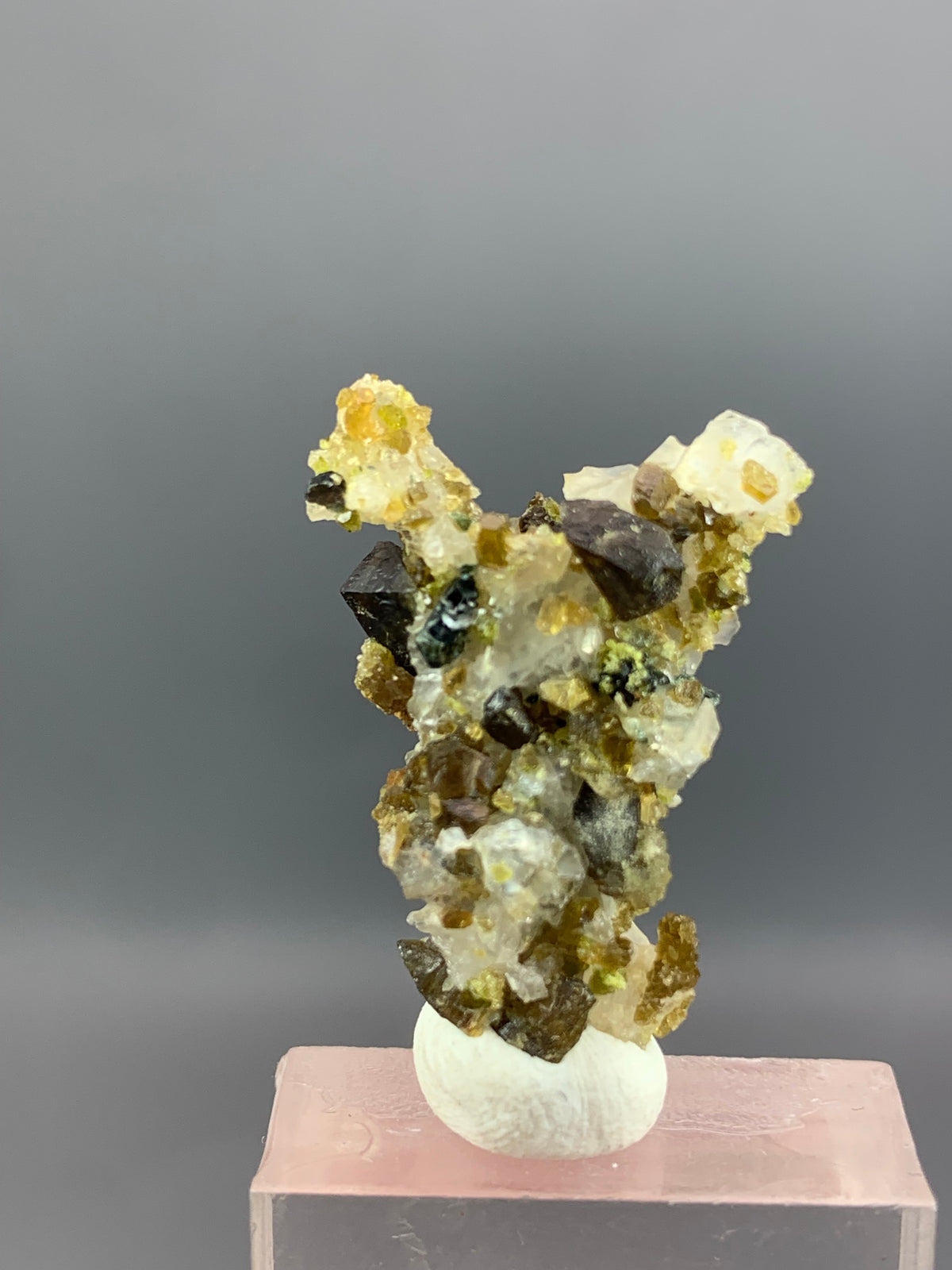 Vesuvianite, Epidote, Andradite Garnet & Magnetite  Pakistan