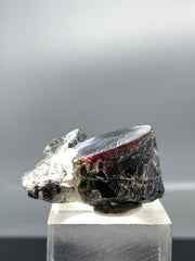 Red Cap Tourmaline Crystal Specimen Lot from Afghanistan – 174 g