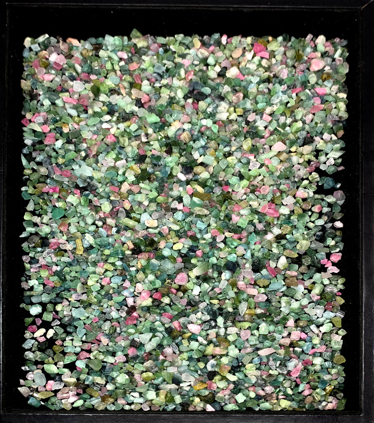 Mixed Color Tourmaline Crystals from Afghanistan – 469 g Mineral Lot