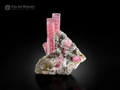 Tourmaline rose avec quartz et albite – Afghanistan